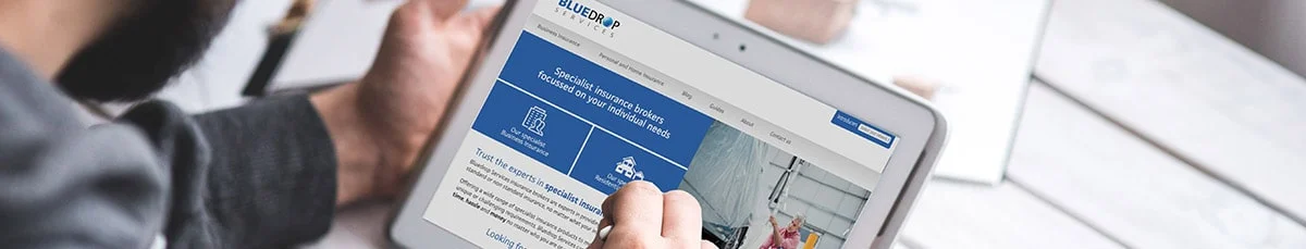 Bluedrop Blogs and Guides